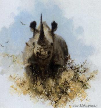 Rhinoceros by 
																	David Shepherd
