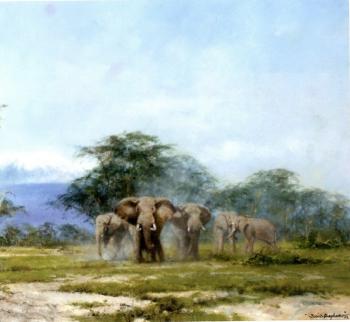 Elephants by 
																			David Shepherd
