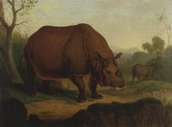 Rhinoceros by 
																	Christian Kehrer