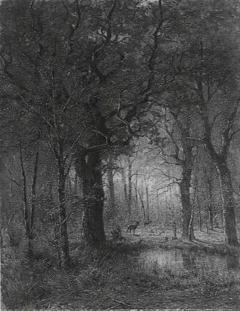 Wooded landscape with deer and pond by 
																	Albrecht von Occolowitz