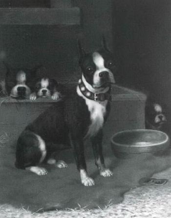 Proud canine family by 
																	Harry Lyman