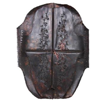 Shield by 
																	 Zhang Yi