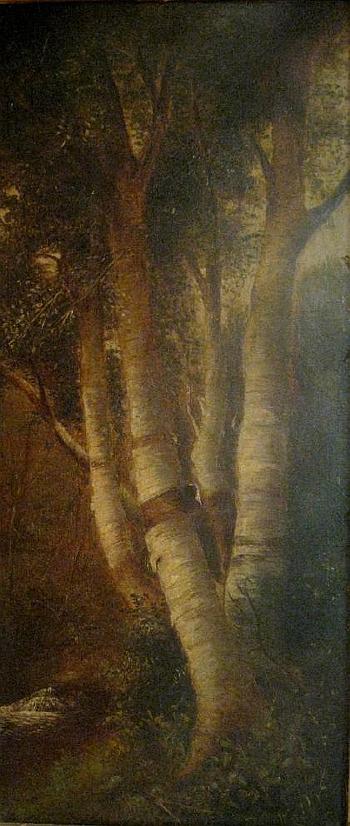 Birches by 
																	William Ongley