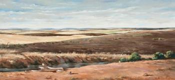 Prairie by 
																	Elmer L Novotny