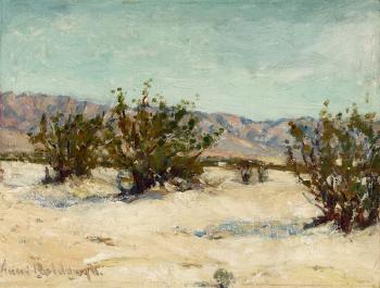 Desert landscape by 
																			Anni Baldaugh
