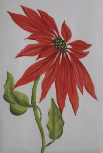 Poinsettia by 
																			Charles Burchfield