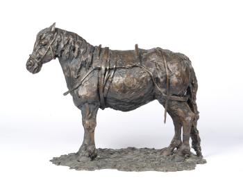 Study of a pony with saddle by 
																	Elizabeth Macdonald-Buchanan