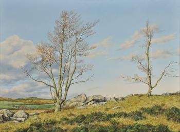 Dartmoor by 
																			Geoffrey Campbell Black