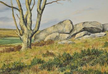 Dartmoor by 
																			Geoffrey Campbell Black