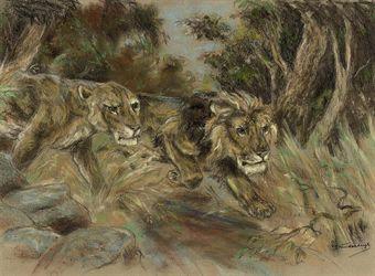 Lions on the prowl by 
																	Raymond John Vandenbergh