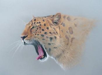 Leopard by 
																	Martin Aveling