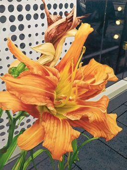 Metaphor of Symbiosis: Strange Lily with Show-Window by 
																	Satoshi Furui