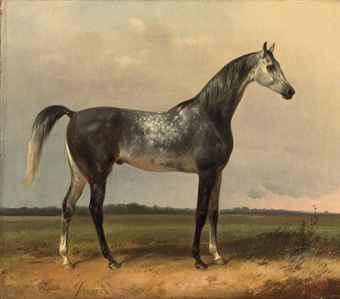 A gray horse in the meadow by 
																	Alois Bach
