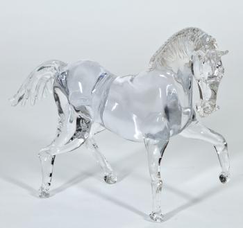 Wieherndes Pferd by 
																	Arnoldo Zanella