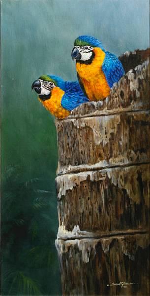 Baby blue an gold macaws by 
																	Gamini Ratnavira