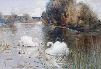 A river landscape with swans by 
																	Albert E Bailey