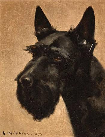 Portrait of a Scottish terrier by 
																	Elizabeth Nelson Fairchild