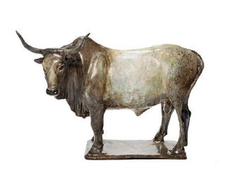 Nguni bull by 
																	Christine Suzman