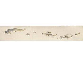 More than ten species of fresh water fishes,  shells and crabs,  laid out against a plain background by 
																			Nishiyama Kan'ei