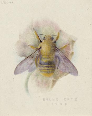 Bumblebee by 
																	Bruno Ertz