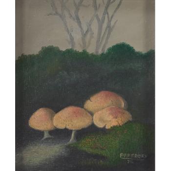 Pink mushrooms by 
																			Frederick Papsdorf