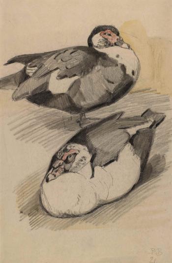 Study of two ducks by 
																	Vasilij Alexseevic Vatagin