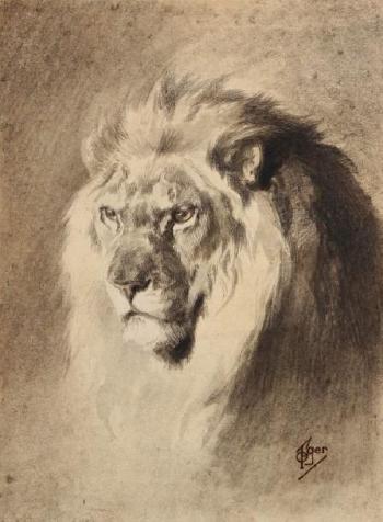 Tête de lion by 
																	Ferdinand Oger