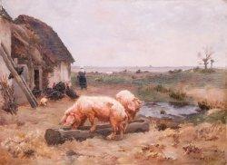 Cochon à la ferme by 
																	Paul Vayson