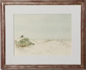 Coastal dunes by 
																	Frank Galsworthy