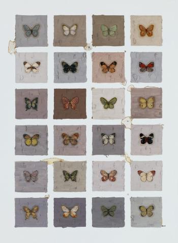 Butterfly by 
																	 Xu Haidong