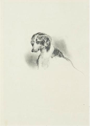Etude de tête de chien by 
																	Ferdinand Philippe Louis Charles Henri d'Orleans