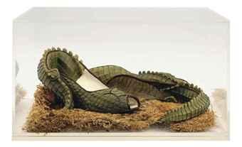 Crocodile Shoes by 
																	Susan Nininger