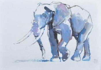 Elephant by 
																	Mark Adlington