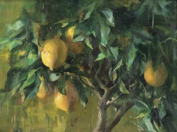 Meyer Lemons by 
																			 Quang Ho