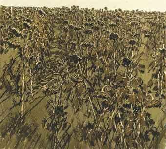 Twelve Views of a Sunflower Field XII by 
																	 Xu Jiang