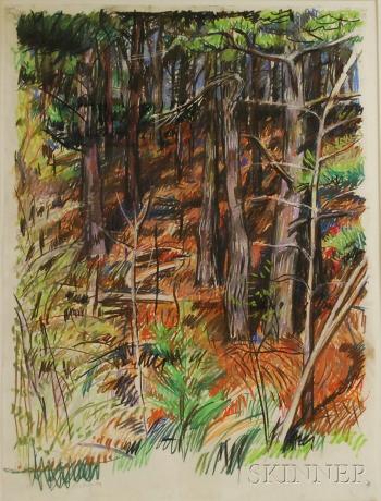 Pine trees and pine needles by 
																			Jon Imber