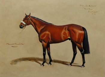 Study for portrait Red Rum, Southport by 
																	Lionel Hamilton-Renwick