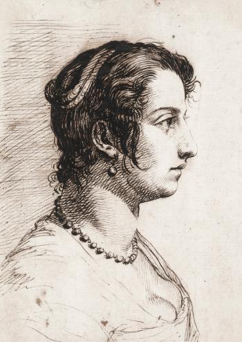 Head Of a Woman In Profile by 
																	Giovanni Luigi Valesio