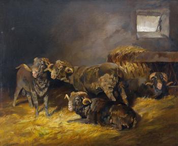 Schafe im Stall. by 
																	Konrad Ignac