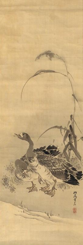 Zwei Wildgänse an einem Ufer unter blühendem Schilf by 
																	Kishi Ganryo