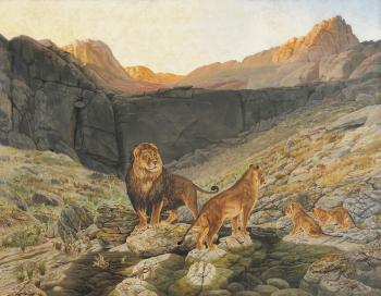 Löwenfamilie an der Wasserstelle by 
																	Urs Eggenschwyler