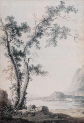 Arbre dans un paysage fluvial by 
																	Giovanni Battista Lusieri