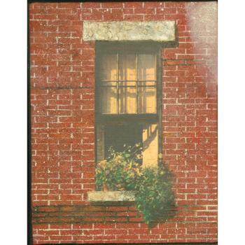 Window by 
																	Walter Cade