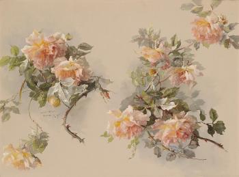 Apricot colored roses by 
																	Constance von Munch-Bellinghausen