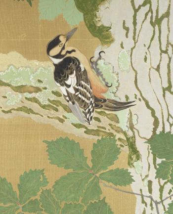 Summer scene of a forest of tall birch trees with mountain lilies and red nouzen kazura peering from among the blooming green overgrowth and underbrush, a woodpecker is shown in the top left corner by 
																			Imanaka Soyu