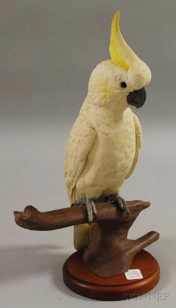 Sulpher crested cockatoo by 
																	Robert and Virginia Warfield