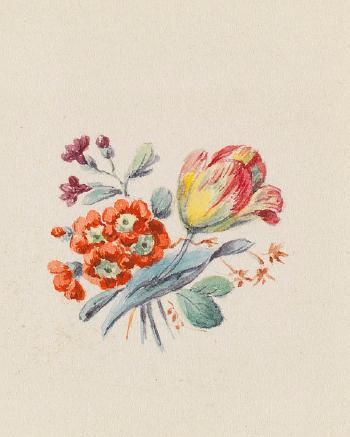 Drei Blumenmotive - Entwurfsaquarelle für Meißner Porzellan by 
																	Georg Friedrich Kersting