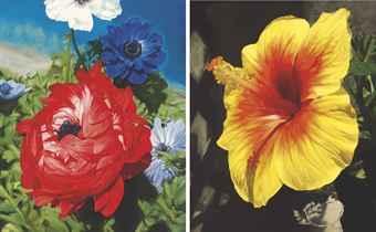 Flowering: Red Anemone; & Flowering: Hibiscus by 
																	Satoshi Furui