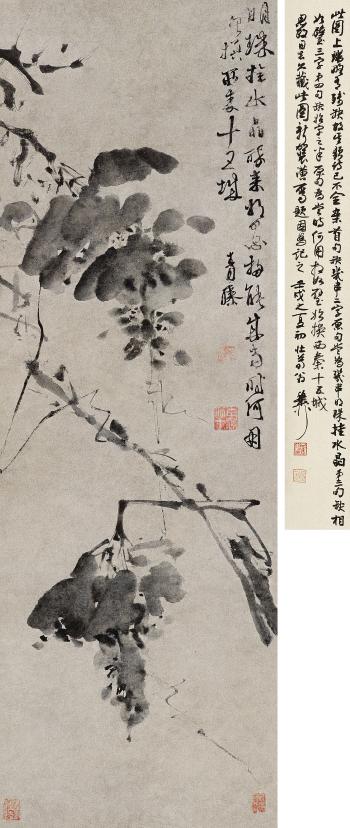 Ink Grape Plants by 
																	 Hxu Wei