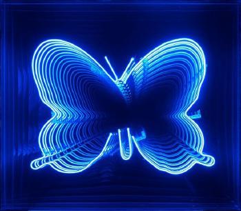 Infinite neon butterfly by 
																	 Pure Evil